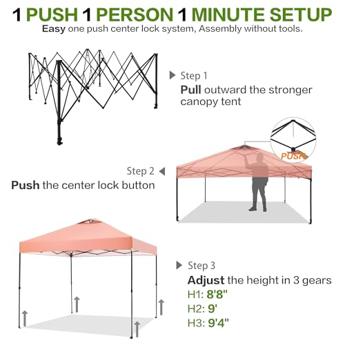 10'x10' Pop Up Canopy Tent with 1 Sidewall and 6 Pockets, One Push Setup, Instant Shade Tent with Vented Roof for Beach Patio Outdoor, Case, 8 Stakes