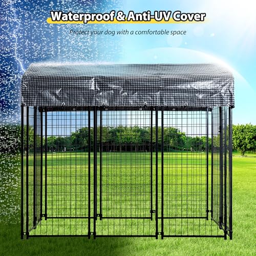 Large Outside Dog Kennel