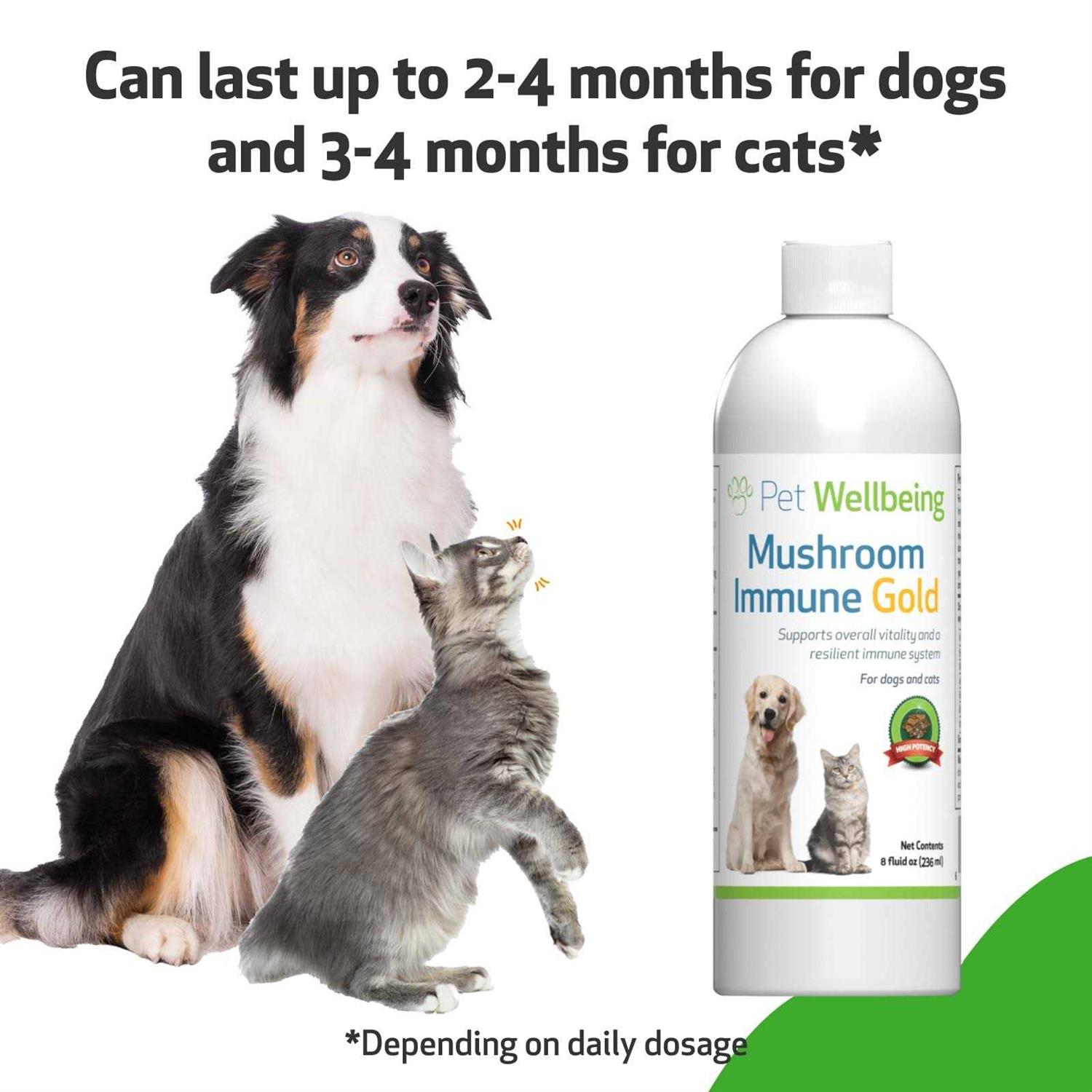 Pet Wellbeing Mushroom Immune Gold for Cats and Dogs - Pet Supplies online store