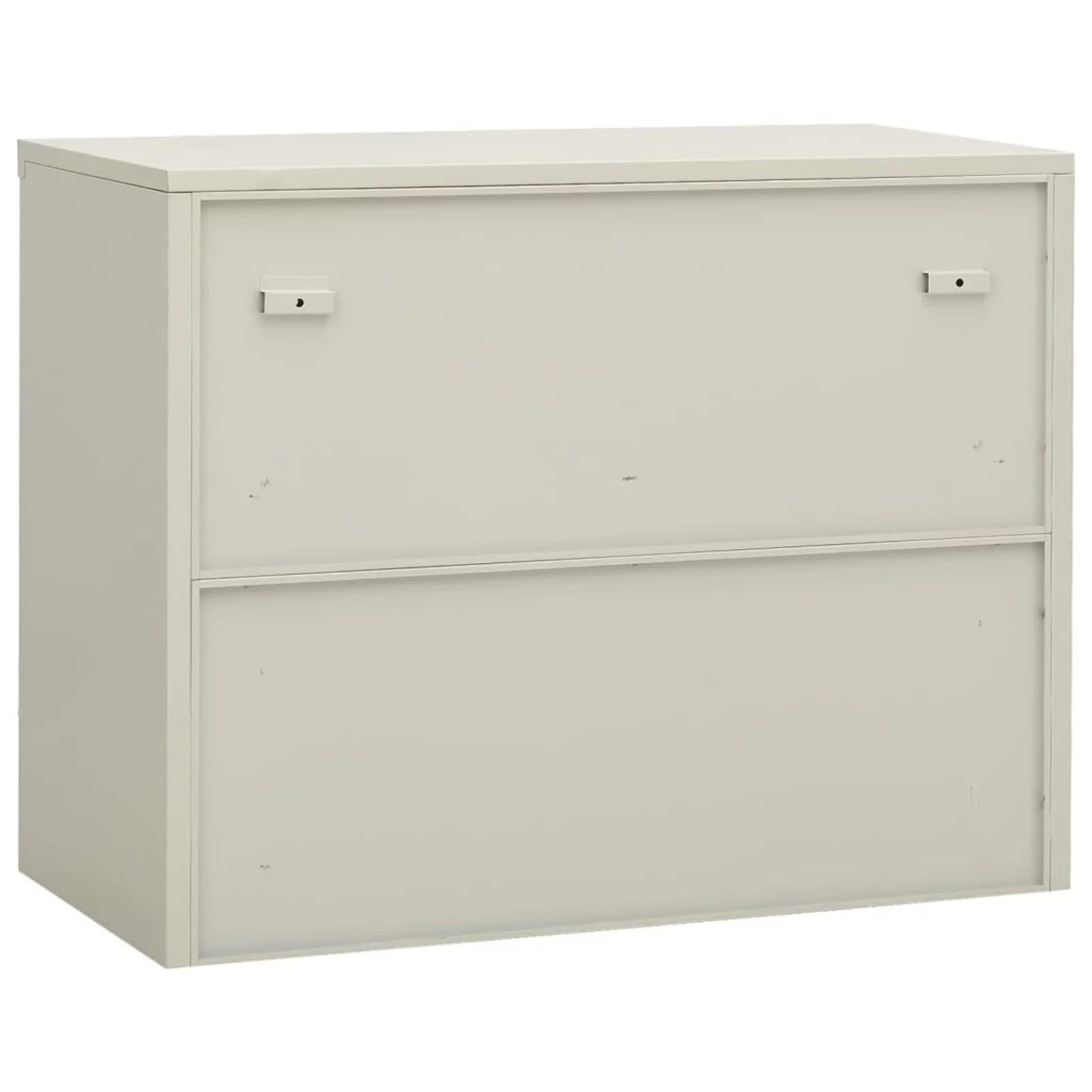 Anself Office Cabinet with Adjustable Storage Shelf and 2 Glass Door Steel Filing Cabinet Light Gray for Living Room, Bedroom