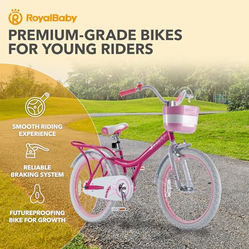 Royalbaby Princess Girls Kids Bike 12 14 16 18 20 Inch Children Bicycle with Basket for Age 3-12 Years