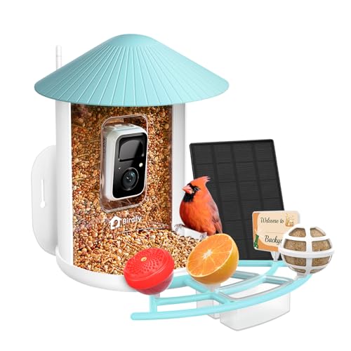NETVUE Birdfy® Pro Bird Feeder with Camera, Wider Perch DIY Add-ons, Hummingbird Feeder, Suet Ball, Jelly Feeder