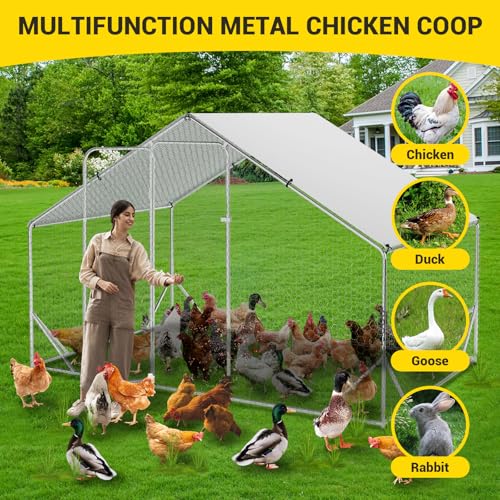Large Metal Chicken Coop, Walk-in Poultry Cage