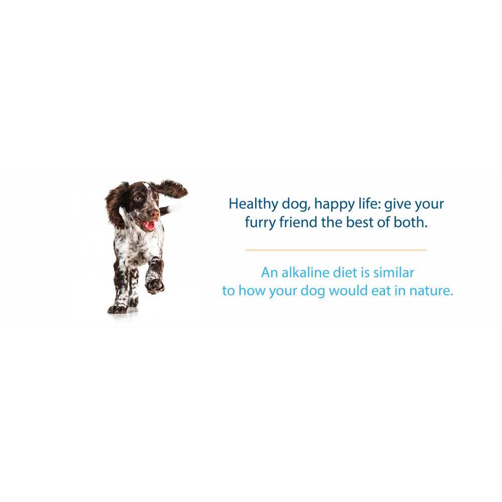 Canine Caviar Open Sky Holistic Entree Grain-Free Dry Dog Food - Pet Supplies online store