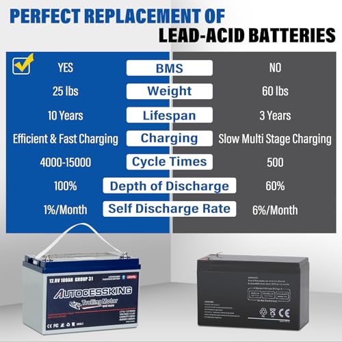 12V 100Ah BCI Group 24 LiFePO4 Battery, 100A BMS Rechargeable Mini Lithium Battery with Low-Temp Protection, Up to 15000 Cycles Perfect for RV