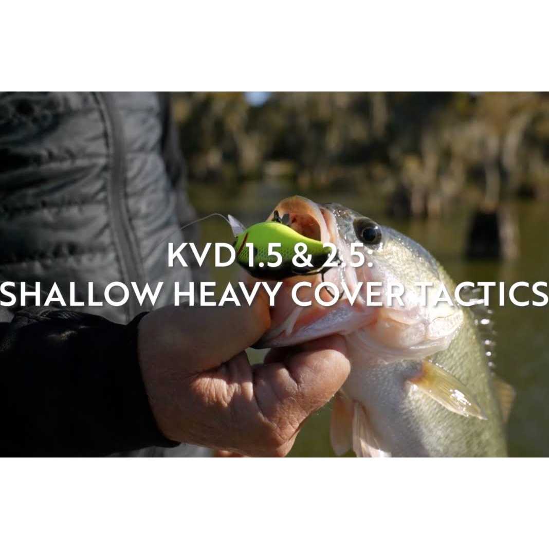 Lews BB1 Pro Baitcast Reel 1 - Sports Supplies Online Store