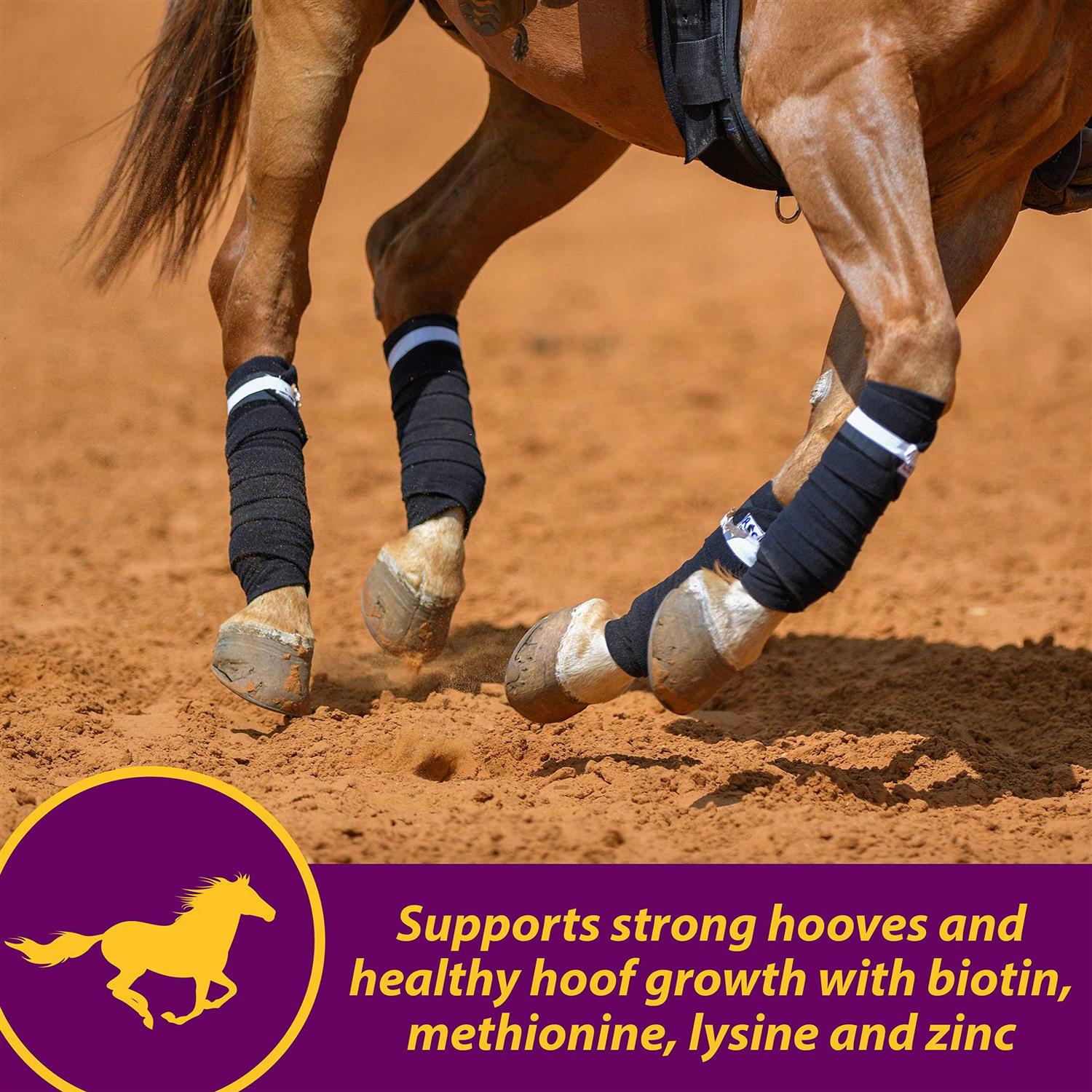 Horse Health Joint Combo Hoof &amp; Coat - Sports Supplies Online Store