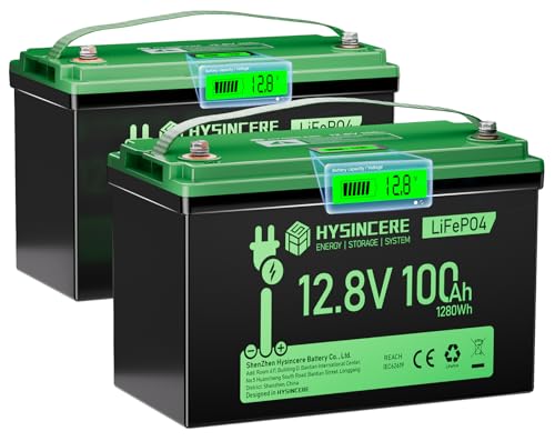 12V 100Ah LiFePO4 Lithium Battery, Mini Deep Cycle Rechargeable LiFePO4 Battery, Max.15000 Cycles Built in 100A BMS for RV, Trolling Motor, Camping