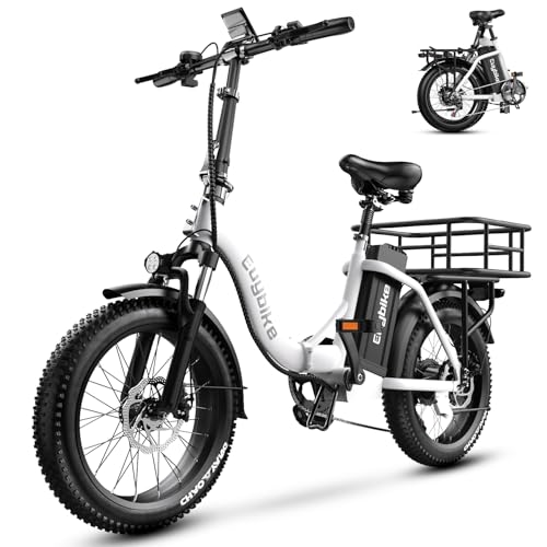 1000W Folding Electric Bike,48V 20AH Removable Battery E Bike,30+MPH,80 Miles Max Range Electric Bike for Adults,20" Fat Tire Foldable ebike