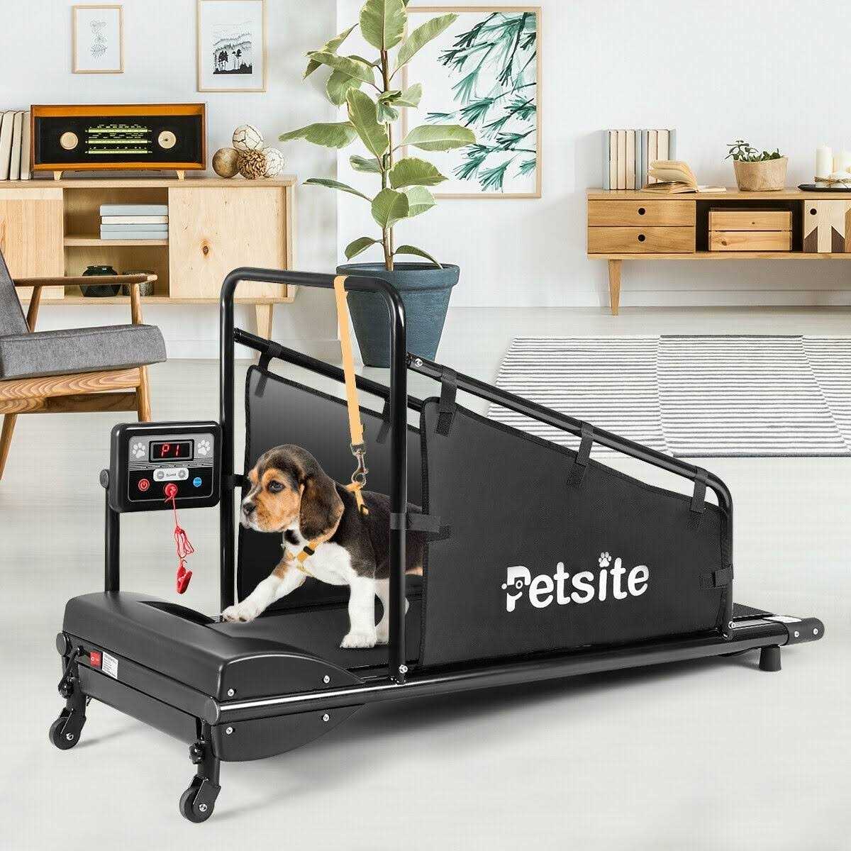 Indoor Pet Exercise Equipment with Remote Control - Pet Supplies online store