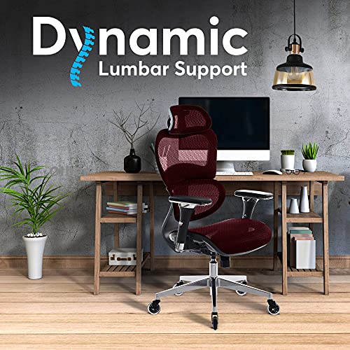 Oline ErgoPro Ergonomic Office Chair, Rolling Desk Chair with 4D Adjustable Armrest, 3D Lumbar Support, Blade Wheels