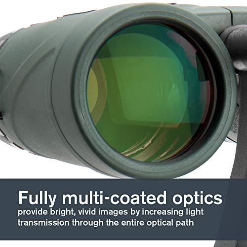 Celestron – Nature DX 8x42 Binoculars – Outdoor and Birding Binocular – Fully Multi-Coated with BaK-4 Prisms – Rubber Armored – Fog & Waterproof