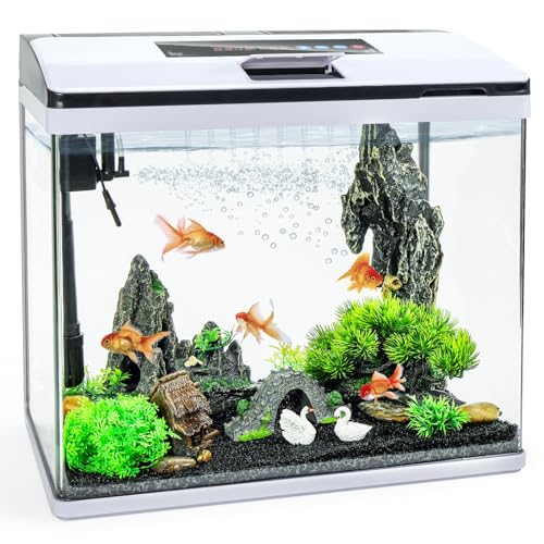 10 Gallon Glass Aquarium Fish Tank Starter Kit with Temperature and Time Display for Betta Fish Featuring Crystal Clear 360° Viewing