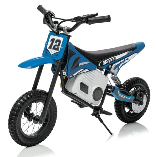 KerryYoo 36V 350W C11 Electric Dirt Bike for Kids 8-14, Up to 16MPH Off-Road Electric Motorcycle with Explosion-Proof Tires, Twist Grip Throttle