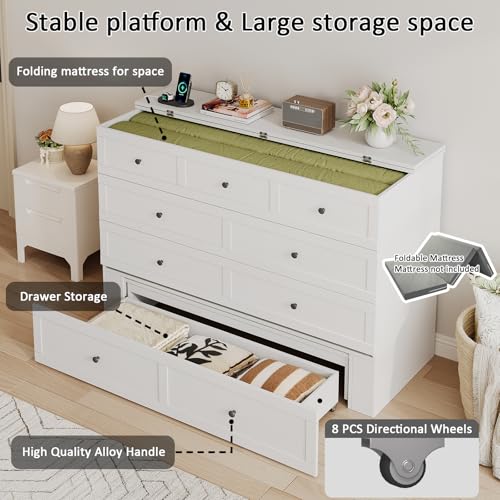 Queen Murphy Bed with Storage & Charging Station, Murphy Cabinet with Foldable Panel, Noisy Free, for Guest Bedroom, Living Room, Office