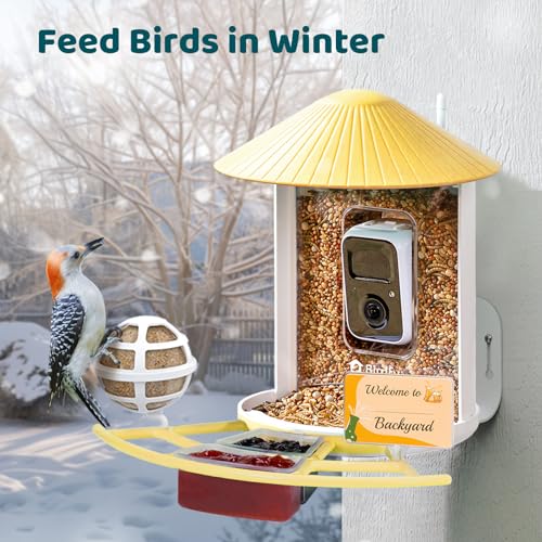 NETVUE Birdfy® Pro Bird Feeder with Camera, Wider Perch DIY Add-ons, Hummingbird Feeder, Suet Ball, Jelly Feeder