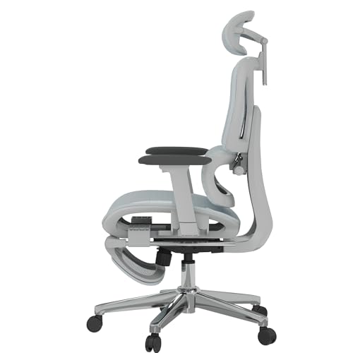 FLEXISPOT ErgoX Premium Ergonomic Office Chair with Footrest- Adjustable 3D Armrests, Dynamic Lumbar Support, Recline & Tilt Function, Mesh Seat