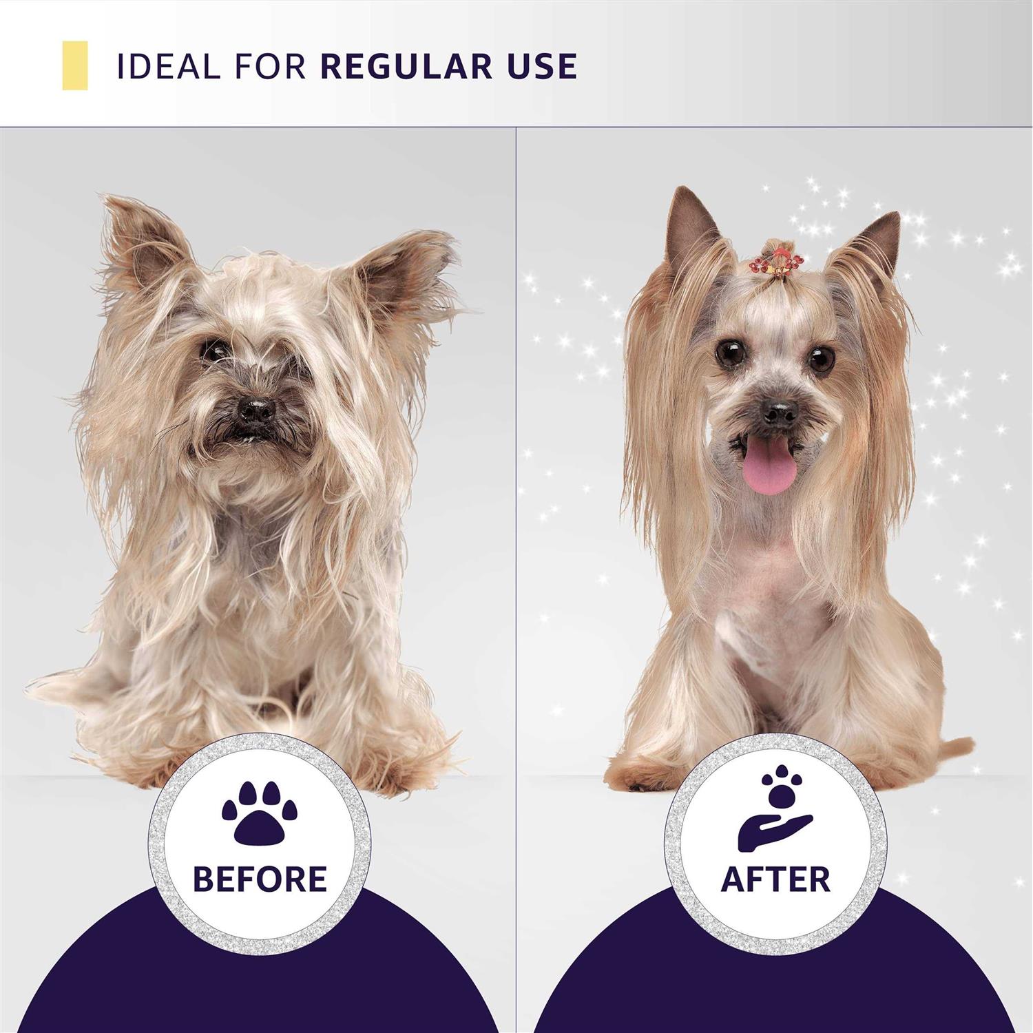 Hydra Professional Experience Set, cat and Dog grooming Shampoo, conditioner, and Sprays, Dog and cat grooming Supplies - Pet Supplies online store