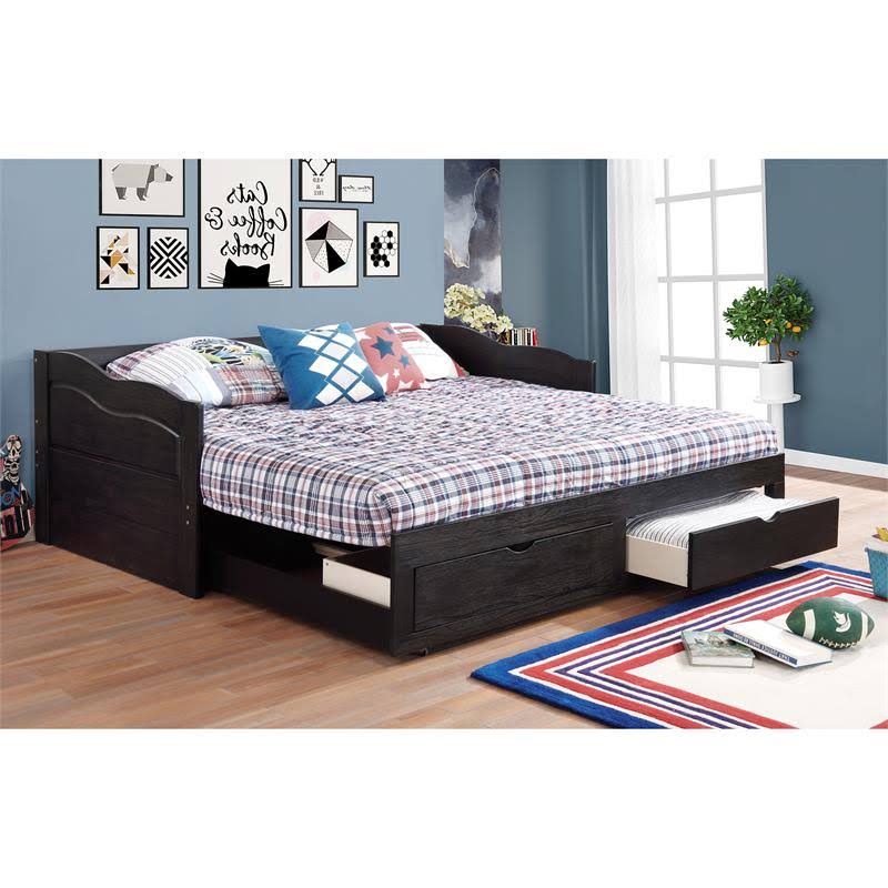 Furniture of America Trosser Transitional Wood Twin Daybed with Trundle in Black - IDF-1743BK