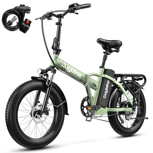 1000W Folding Electric Bike, 48V 20AH Large Removable Battery E Bike, 30+MPH, 80 Miles Max Range, 20" Fat Tire Electric Bike for Adults