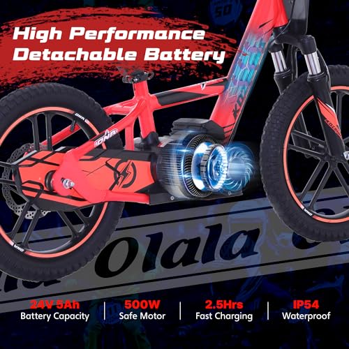 OLALA Electric Dirt Bike for Kids Aged 3-6, 170W Racing Grade Electric Motorcycle, New Aluminum Frame with 2 Power Modes, 24V Detachable Battery