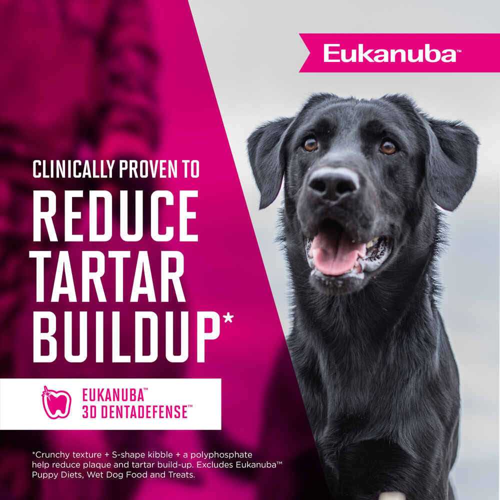 Eukanuba Adult Dry Dog Food - Pet Supplies online store