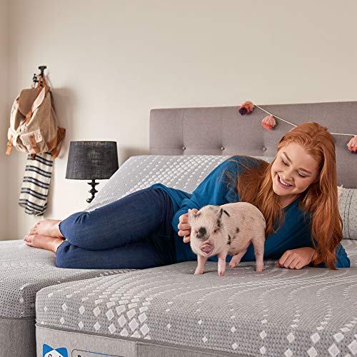 Sealy Posturepedic Paterson mattresses