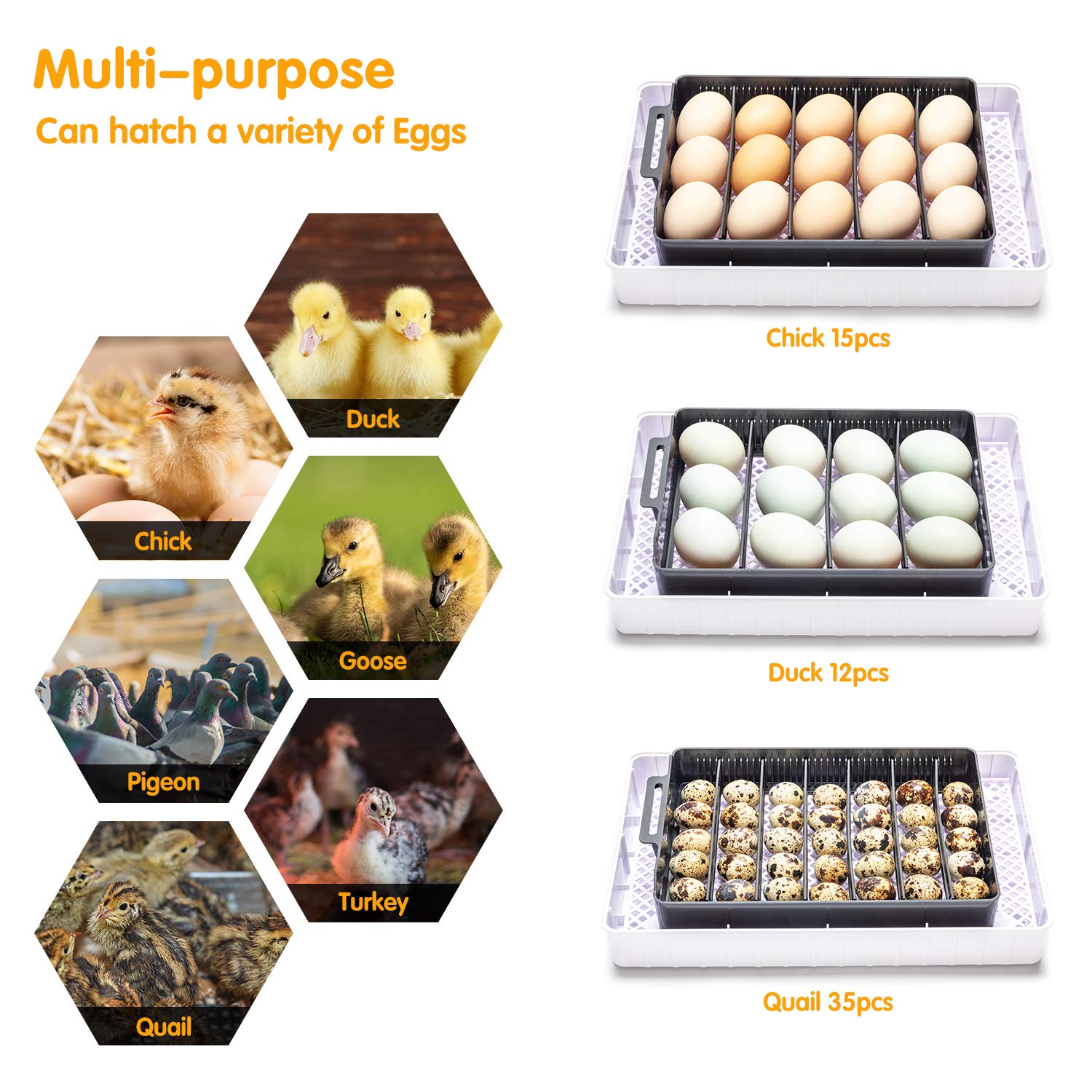 Apdo Egg Incubator, 9-35 Eggs Fully Automatic Poultry Hatcher Machine, Led Candler Automatic Egg Turner Temperature Control