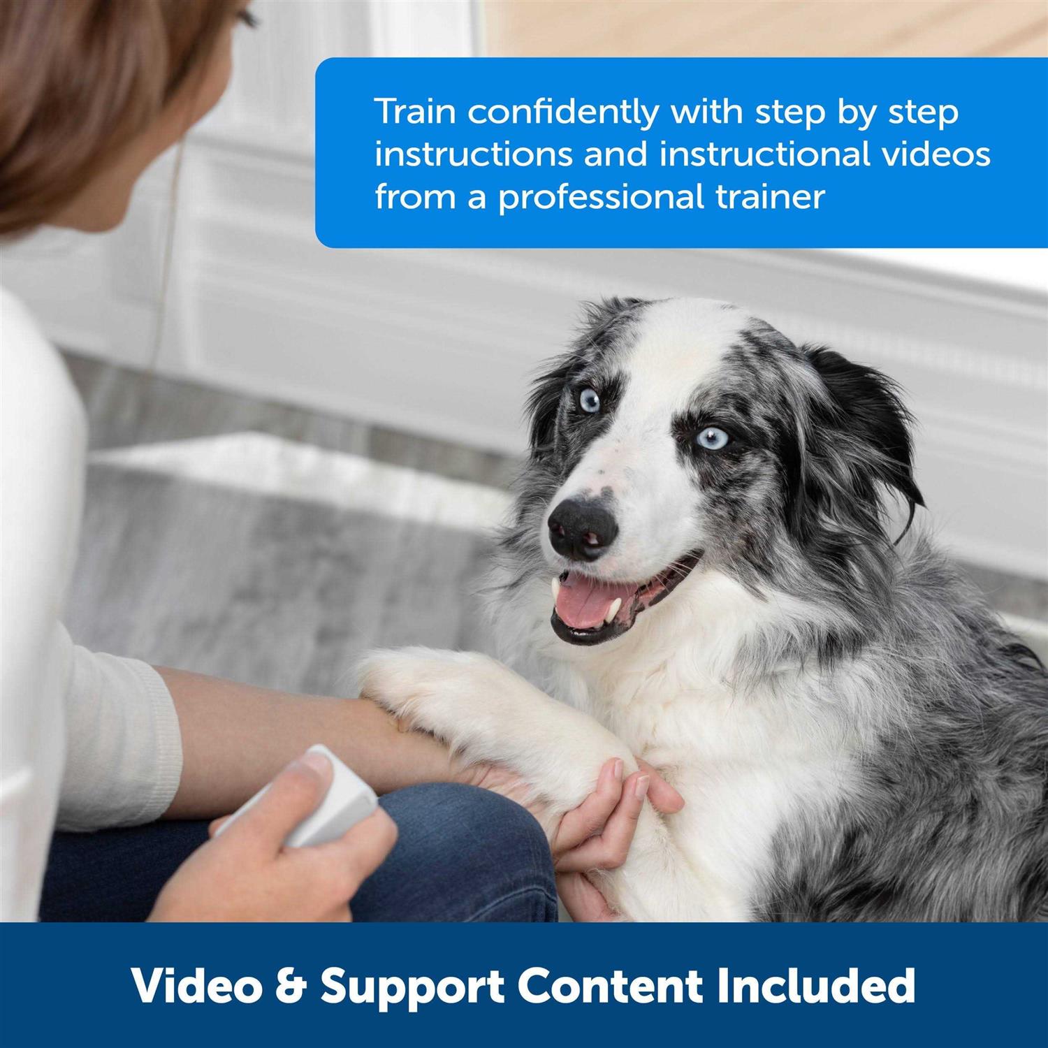 PetSafe Teach &amp; Treat Remote Reward Trainer - Pet Supplies online store