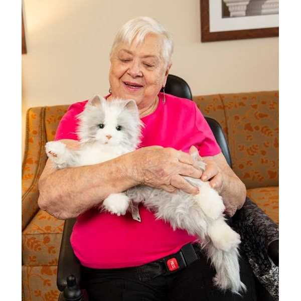 Joy For All Companion Pet Cat - Pet Supplies online store