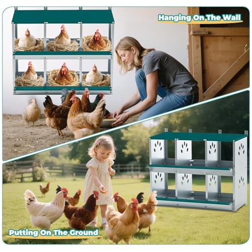 Chicken Coop Nesting Boxes, Wall Mountable Metal Chicken Nesting Box, Easy Egg Collection Roll Away Nesting Boxes Chicken