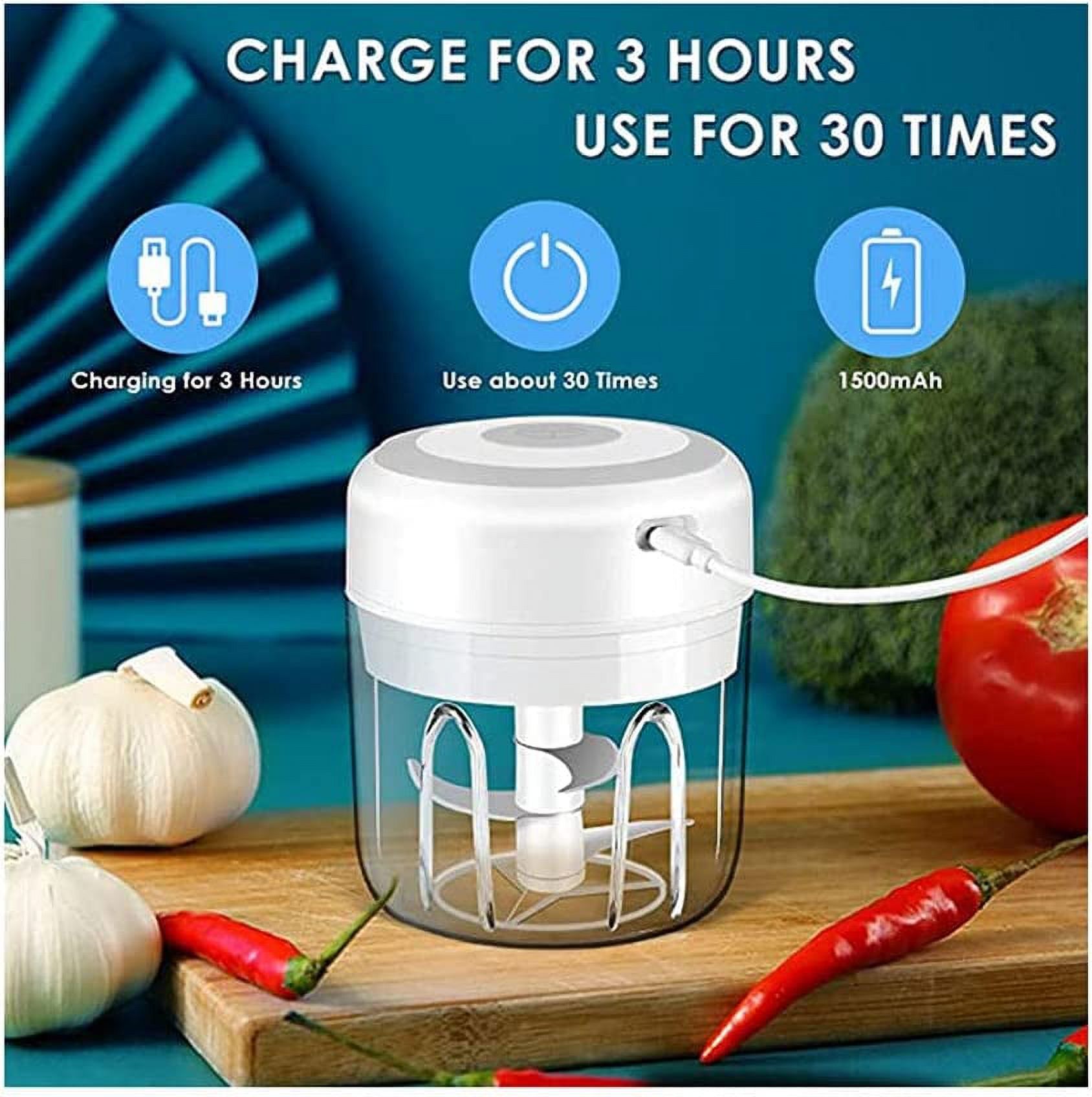 Electric Mini Garlic Chopper,Portable Mini Mincer Electric Food Processor