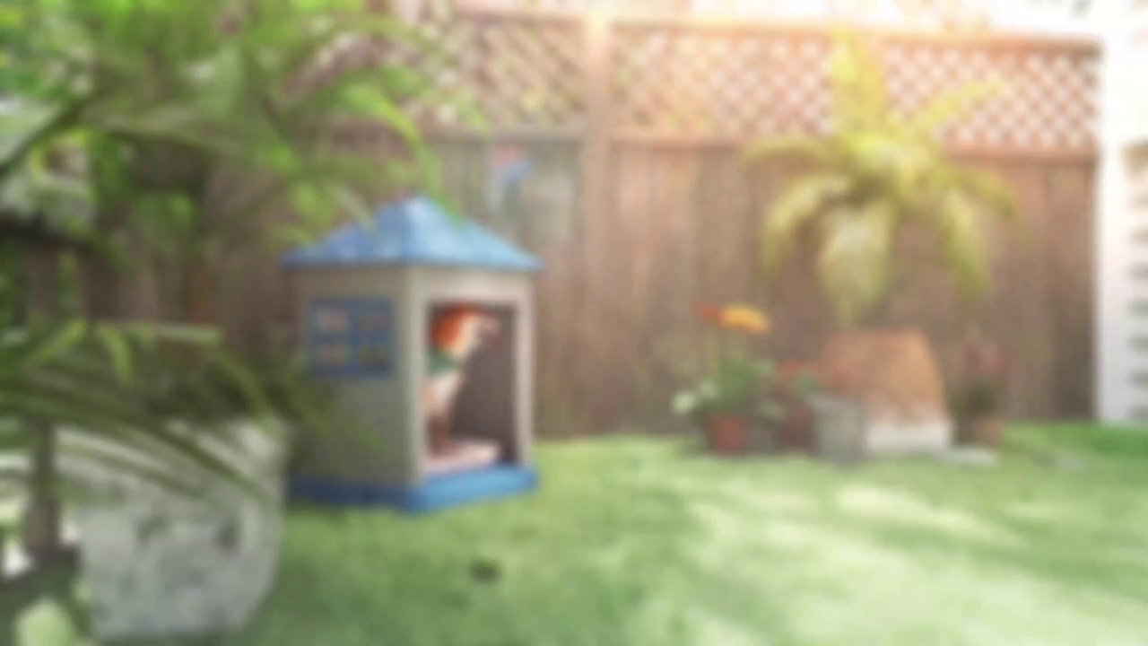 Bifanuo Durable Dog House, Indoor Outdoor Wateproof Doghouse, Pet Plastic Dog Kennel for Small Medium Dogs,Blue, 36.6"L*29.5"W*37.4"H