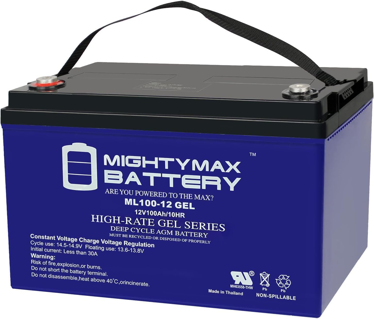 Mighty Max Battery 12V 100AH Gel Battery Replacement for Rec Solar Solar Panels