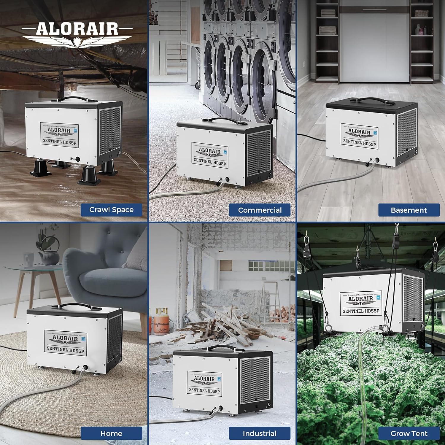 ALORAIR Crawl Space Dehumidifier, 120 PPD Energy Star Crawlspace Dehumidifiers with Drain Hose and Pump for Basement