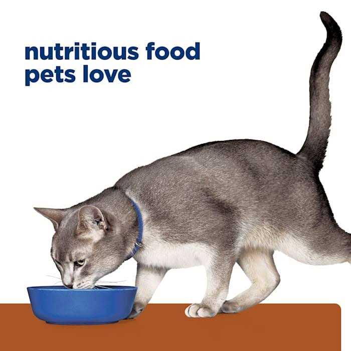 Hill’s Prescription Diet k/d Chicken Canned Cat Food, 5.5-oz, 24 ct