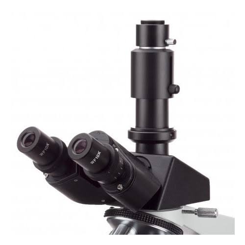 Amscope Binocular Biological Compound Microscope 40X-2000X