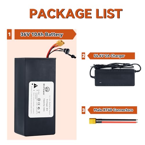 48V 20AH Ebike Battery, LiFePO4 Battery Pack with 40A BMS and 3A Fast Charger fit for 1500w-250w Motor, Electric Motorcycle Bike Scooter,Go cart