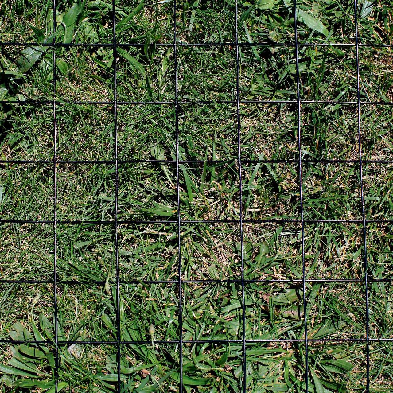 6' x 100' Welded Wire Fence-12.5 ga. Galvanized Steel core - Shop Hardware Tools Online Store
