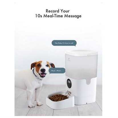 Petlibro Automatic Dog Cat Feeder - Pet Supplies online store