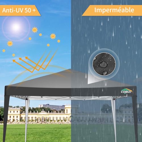 COBIZI 10x10 Pop up Canopy Tent Protable Canopy Tent with 4 Sidewalls Waterproof Commercial Instant Shelter for Parties, Wedding