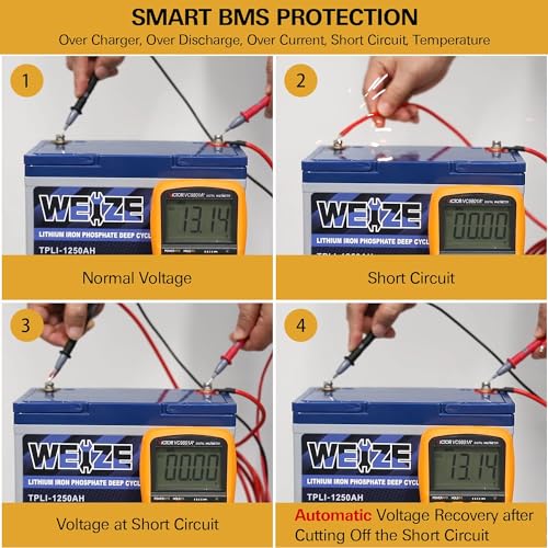 Weize 12V 100Ah TM Bluetooth LiFePO4 Lithium Battery, Built-in 120A BMS