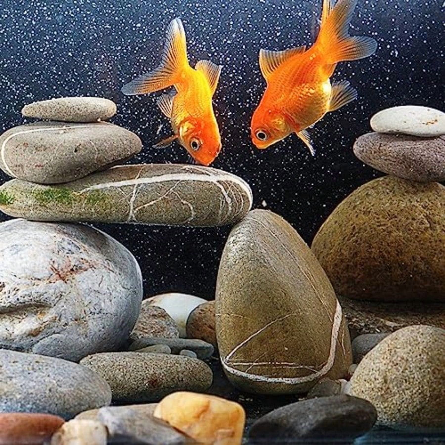 40lbs Natural River Rocks 3-4 Premium Pebbles for Garden and Landscape Design Hand-Picked Smooth Stones for Fish Tank Flower Pots Indoor Water