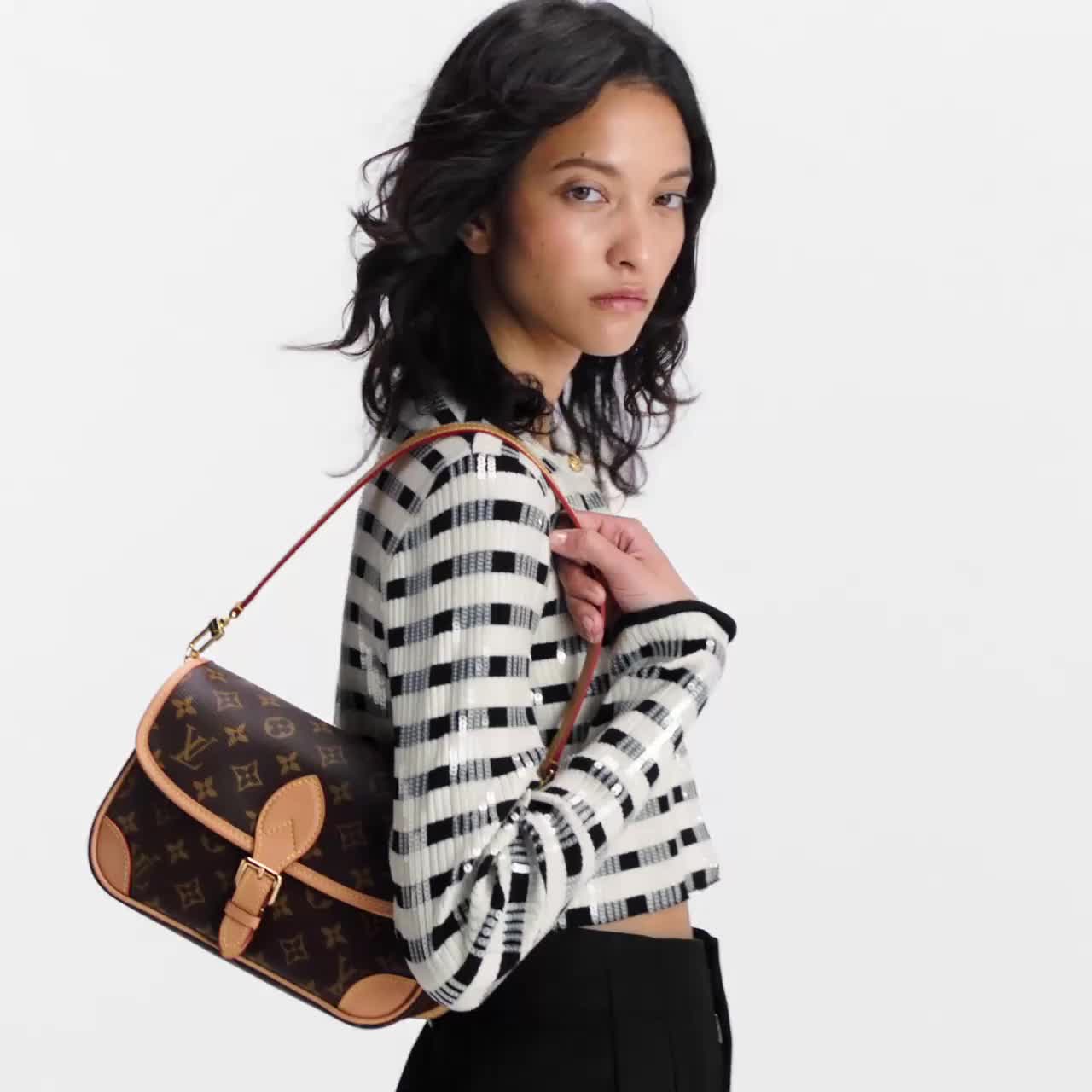 Louis vuitton Diane