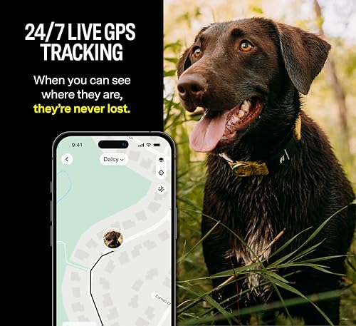 Fi Series 3 Smart Dog Collar - GPS Dog Tracker and Activity & Health Monitor, Waterproof, LED Light, Escape Alerts