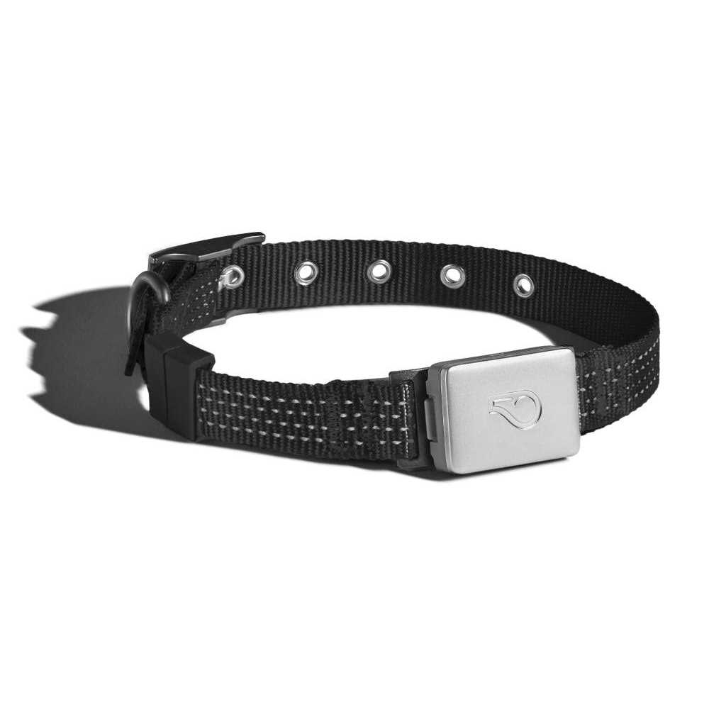 Whistle Switch Smart Collar Kit GPS location Health &amp; Fitness - Pet Supplies online store