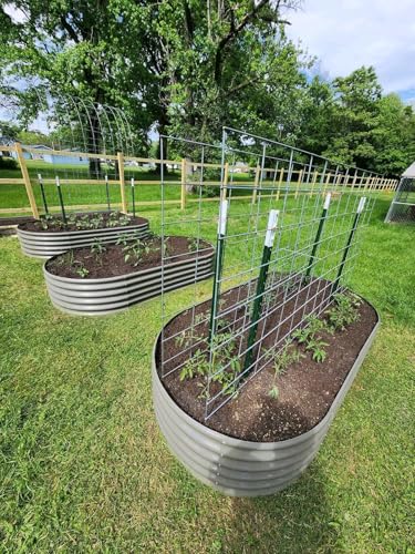 A ANLEOLIFE 8X4X1.5 ft Galvanized Raised Garden Beds Outdoor, Oval Large Metal Planter Box for Planting Vegetables Flowers Herb