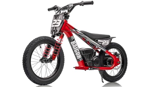 wanan Electric Dirt Bike for Kids 6-12 with Shock-Absorbing Front Fork, 250W Electric Motorcycle Up to 15.5MPH, 24V Detachable Battery, 16''