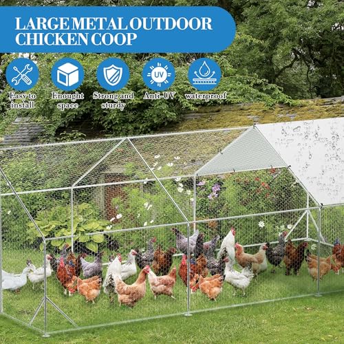 Large Metal Chicken Coop, Walk-in Poultry Cage