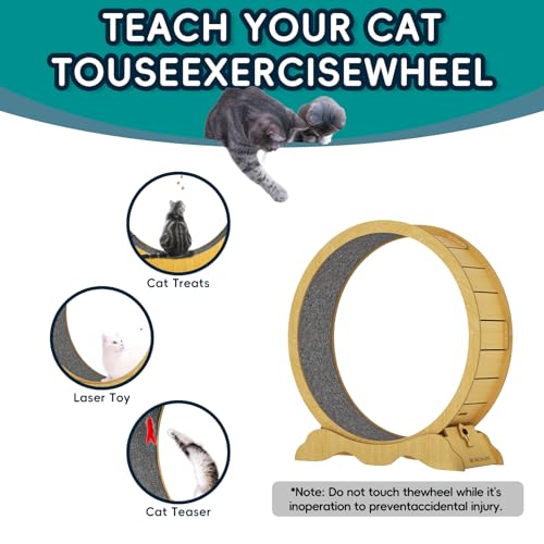 Cat Exercise Wheel 45 Inch Cat Treadmill for Indoor Cats, Running Wheel with Detachable Carpeted Runway